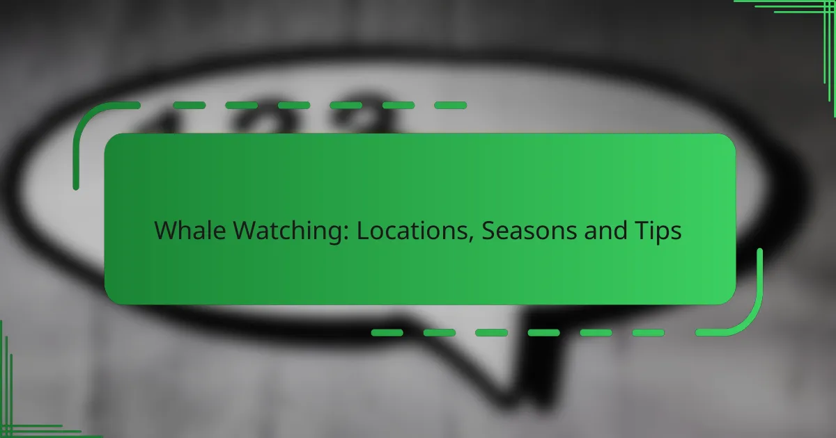 Whale Watching: Locations, Seasons and Tips