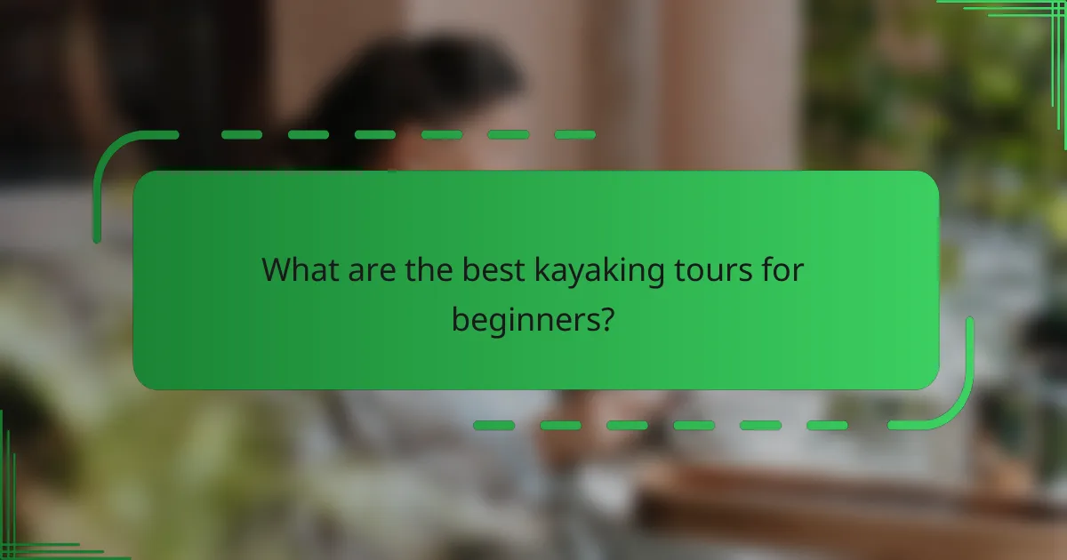 What are the best kayaking tours for beginners?