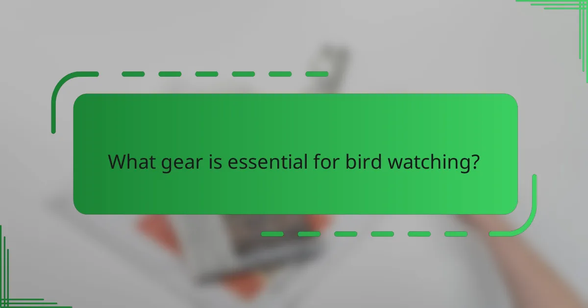 What gear is essential for bird watching?