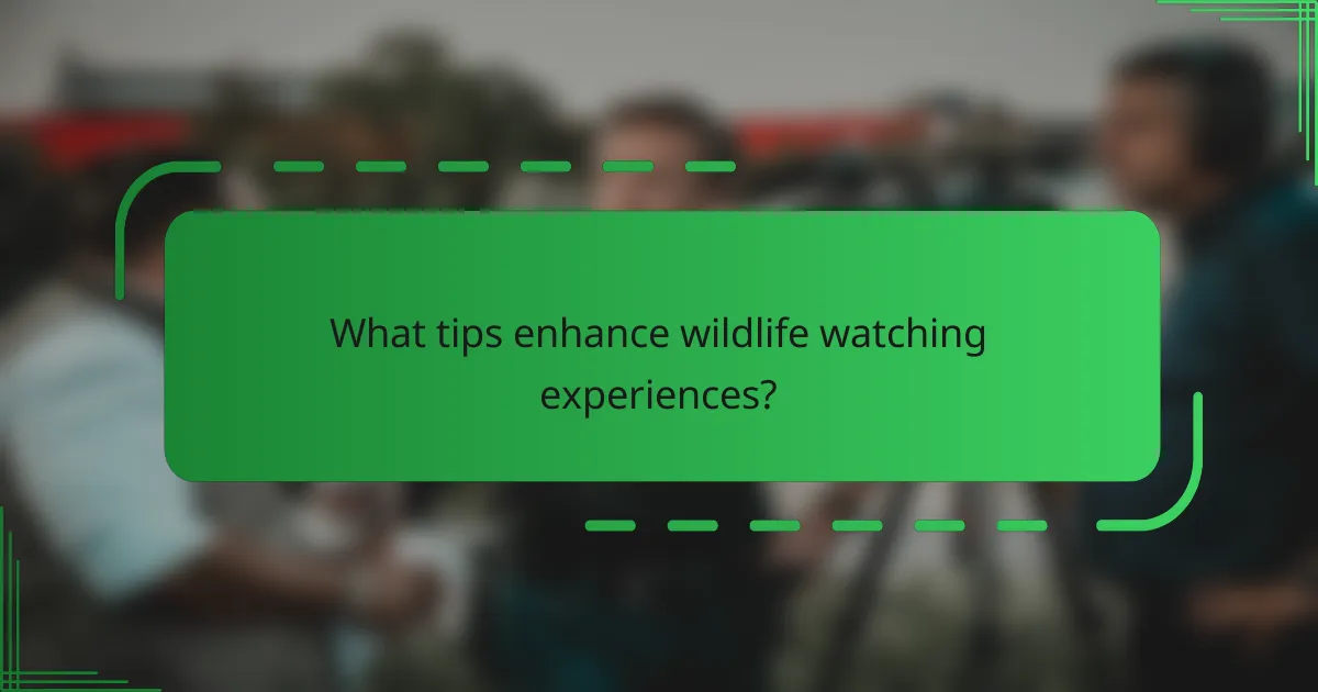 What tips enhance wildlife watching experiences?