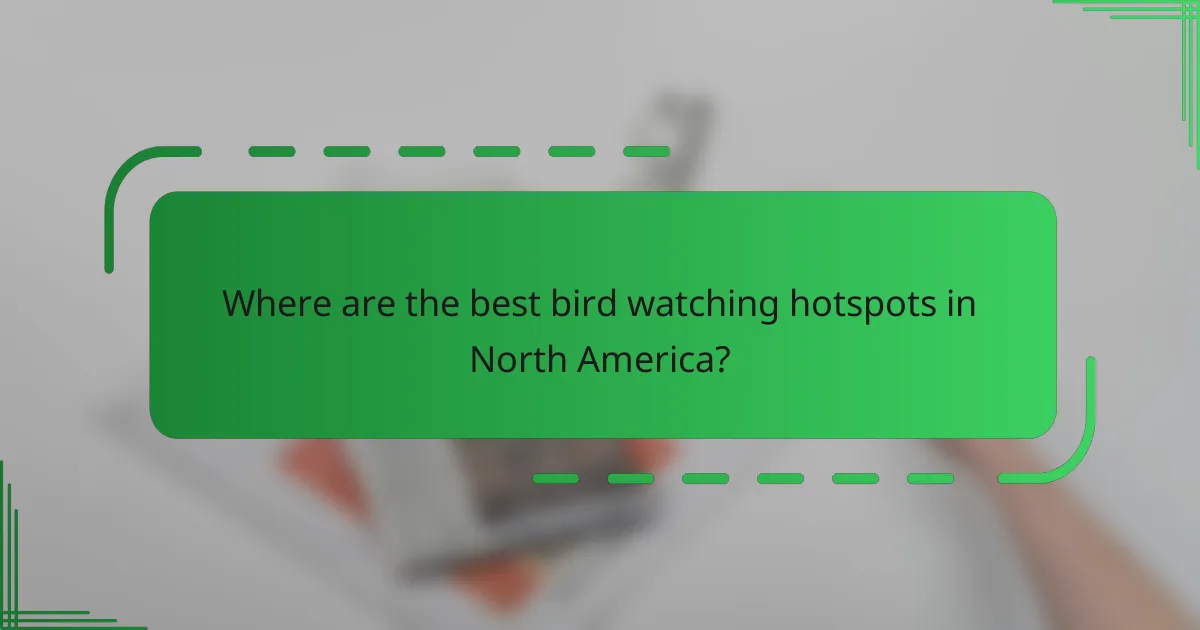 Where are the best bird watching hotspots in North America?